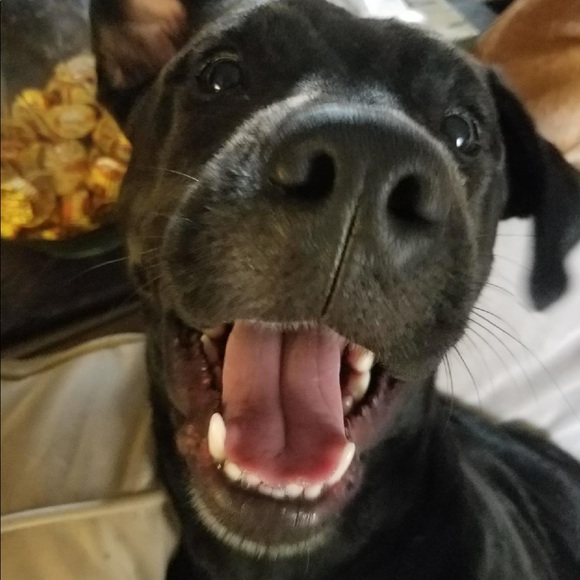 Smile- you’re shopping! Bonus “bargain hunting” - Picture 8 of 15